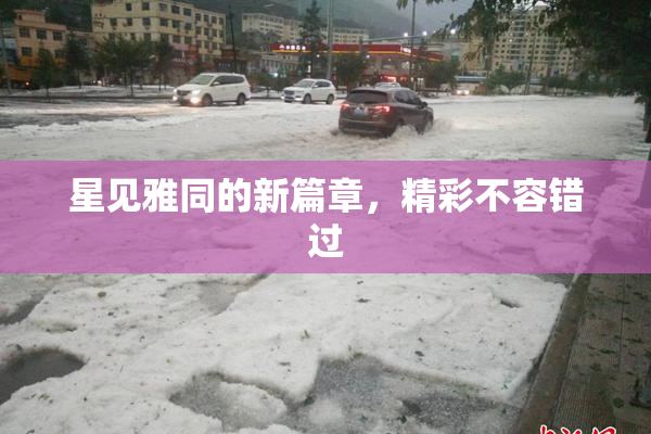 星见雅同的新篇章，精彩不容错过