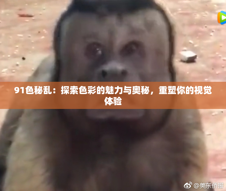 91色秘乱：探索色彩的魅力与奥秘，重塑你的视觉体验