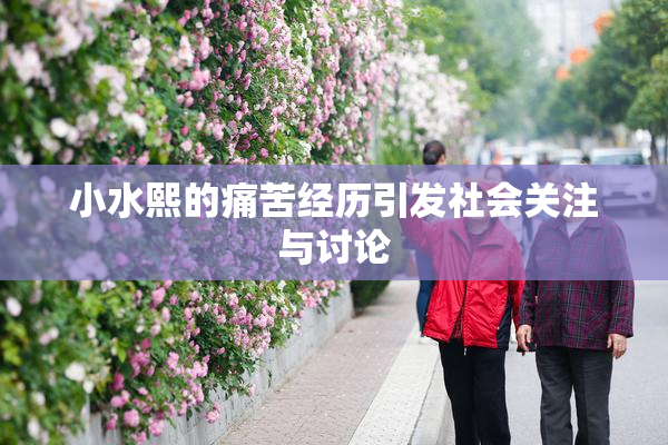 小水熙的痛苦经历引发社会关注与讨论
