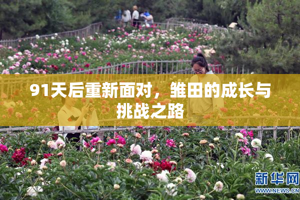 91天后重新面对，雏田的成长与挑战之路