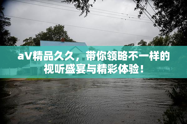 aV精品久久，带你领略不一样的视听盛宴与精彩体验！