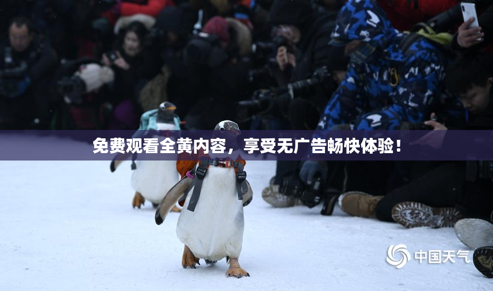 免费观看全黄内容，享受无广告畅快体验！