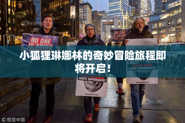 小狐狸琳娜林的奇妙冒险旅程即将开启！