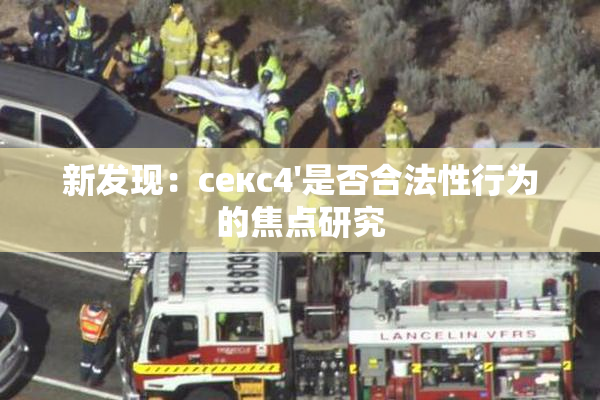 新发现：секс4'是否合法性行为的焦点研究
