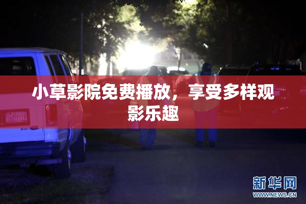 小草影院免费播放，享受多样观影乐趣
