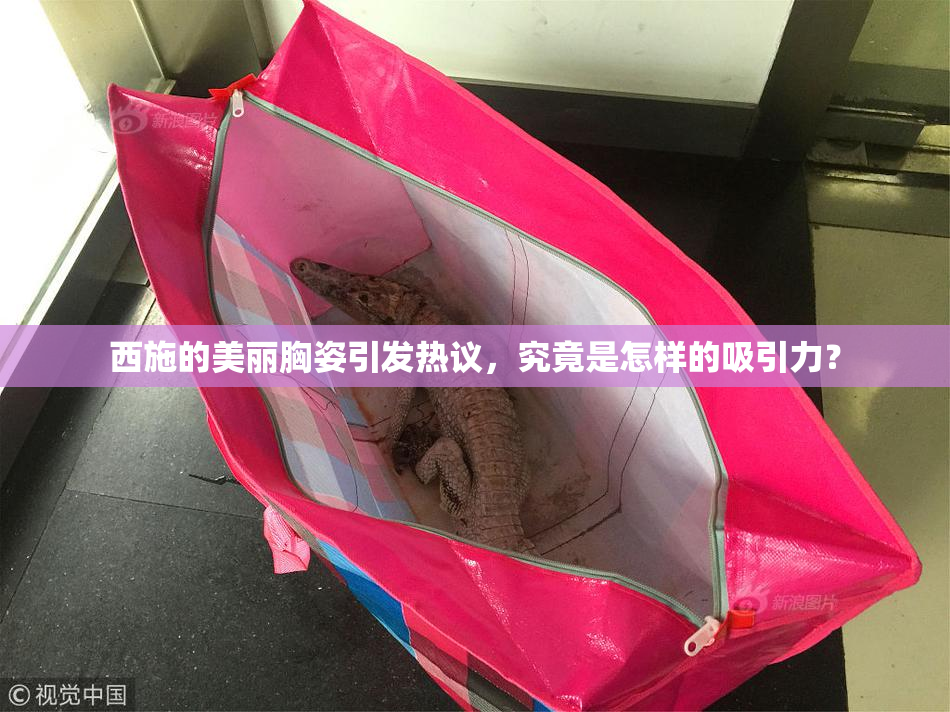 西施的美丽胸姿引发热议，究竟是怎样的吸引力？