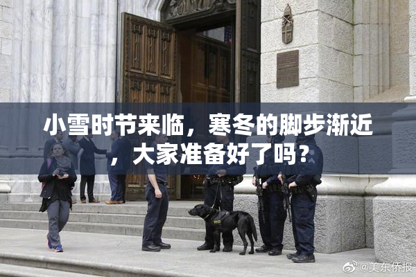 小雪时节来临，寒冬的脚步渐近，大家准备好了吗？
