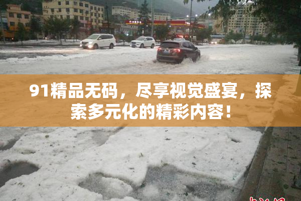 91精品无码，尽享视觉盛宴，探索多元化的精彩内容！