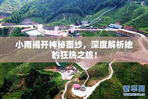 小南揭开神秘面纱，深度解析她的狂热之旅！