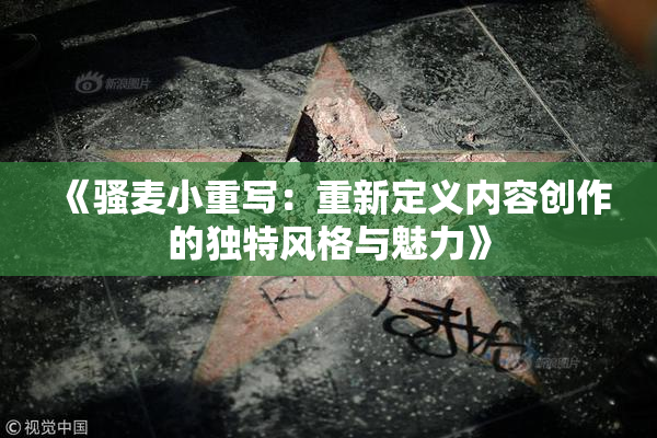 《骚麦小重写：重新定义内容创作的独特风格与魅力》