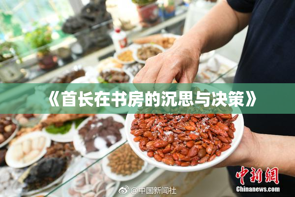 《首长在书房的沉思与决策》