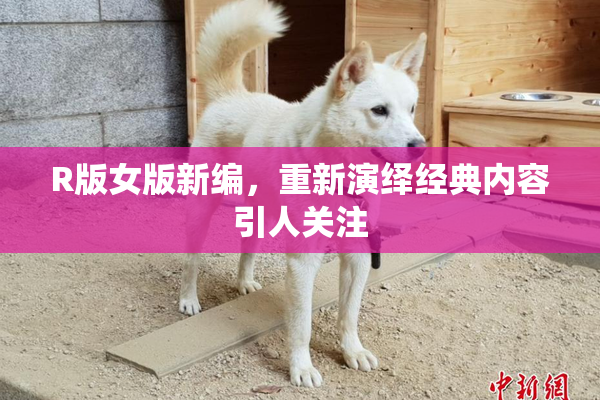 R版女版新编，重新演绎经典内容引人关注