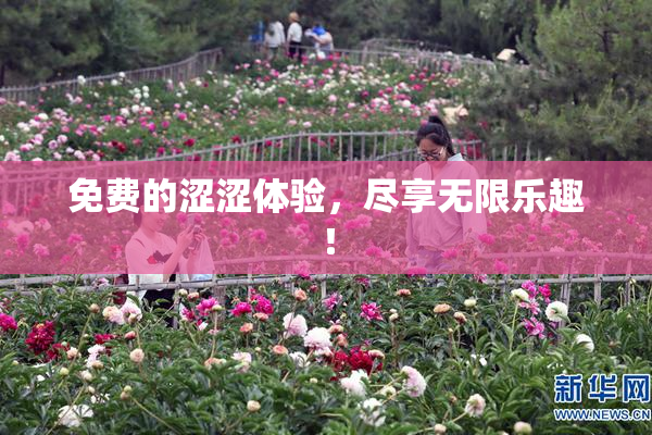 免费的涩涩体验，尽享无限乐趣！