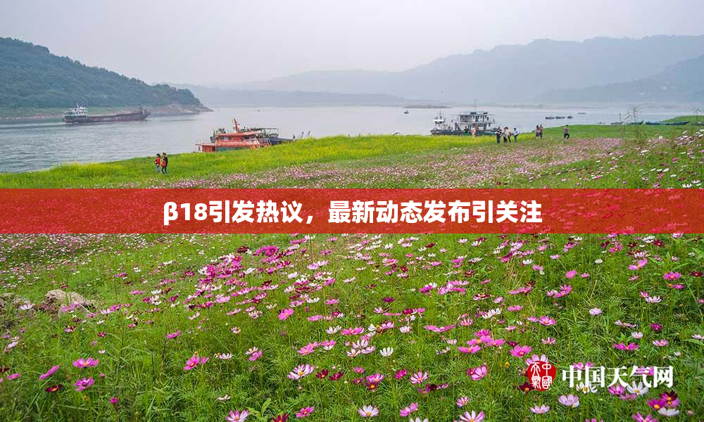β18引发热议，最新动态发布引关注