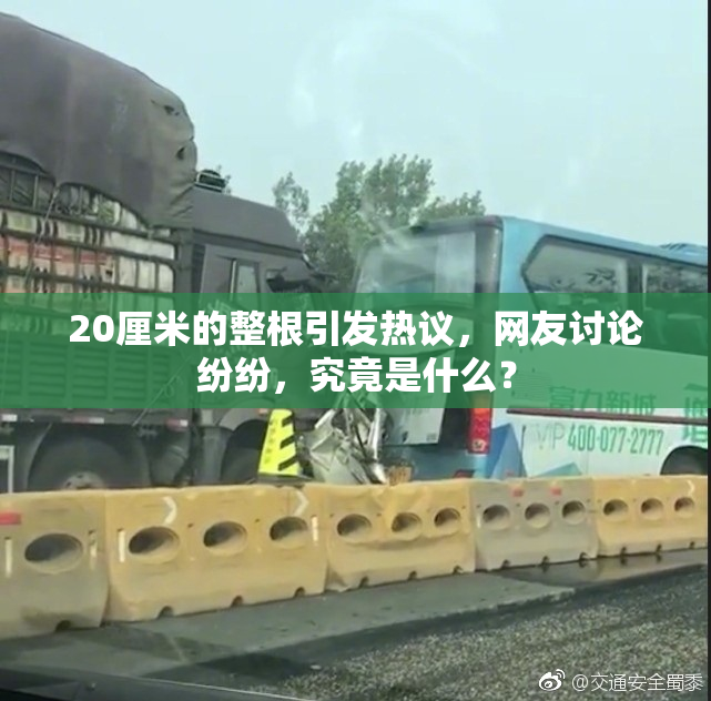 20厘米的整根引发热议，网友讨论纷纷，究竟是什么？