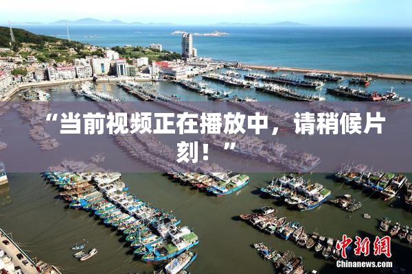 “当前视频正在播放中，请稍候片刻！”