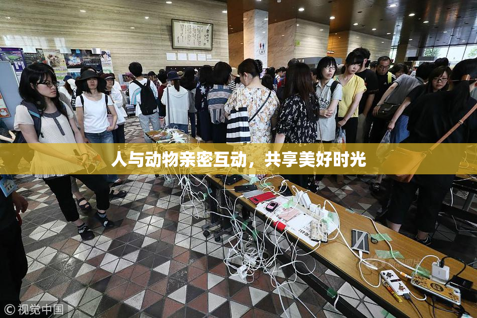 人与动物亲密互动，共享美好时光