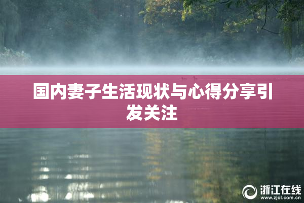国内妻子生活现状与心得分享引发关注
