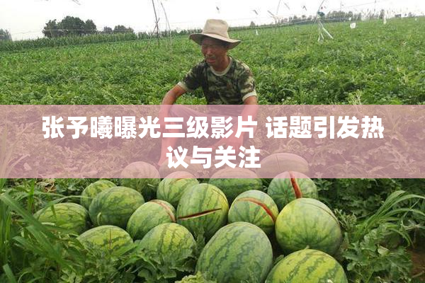 张予曦曝光三级影片 话题引发热议与关注