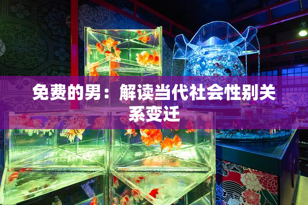 免费的男：解读当代社会性别关系变迁