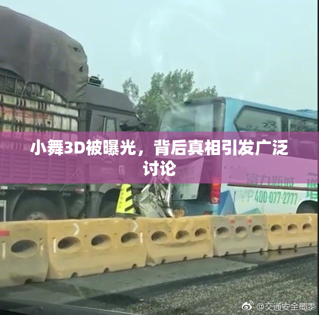 小舞3D被曝光，背后真相引发广泛讨论