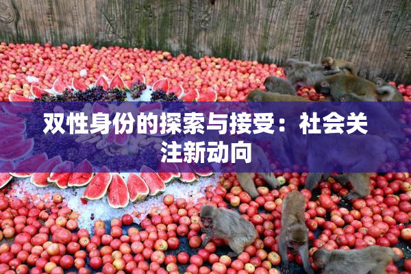 双性身份的探索与接受：社会关注新动向