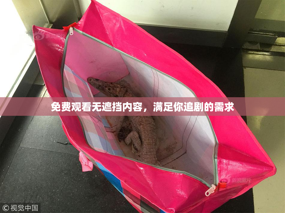 免费观看无遮挡内容，满足你追剧的需求
