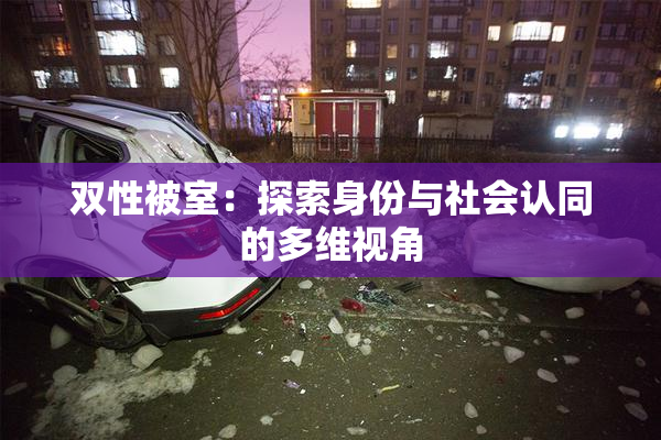 双性被室：探索身份与社会认同的多维视角