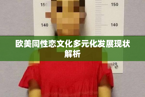 欧美同性恋文化多元化发展现状解析