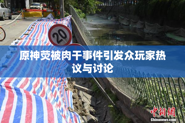 原神荧被肉干事件引发众玩家热议与讨论