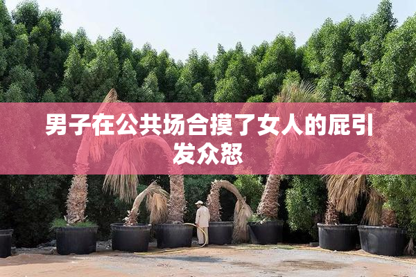 男子在公共场合摸了女人的屁引发众怒
