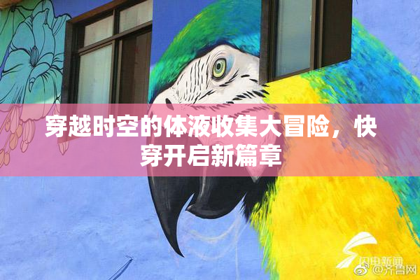 穿越时空的体液收集大冒险，快穿开启新篇章