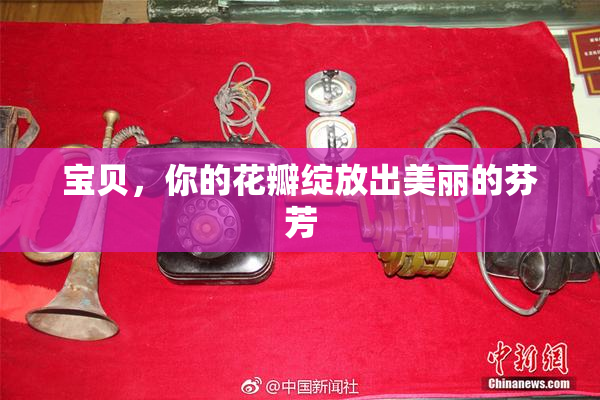 宝贝，你的花瓣绽放出美丽的芬芳