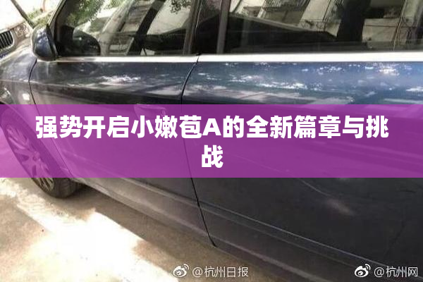 强势开启小嫩苞A的全新篇章与挑战
