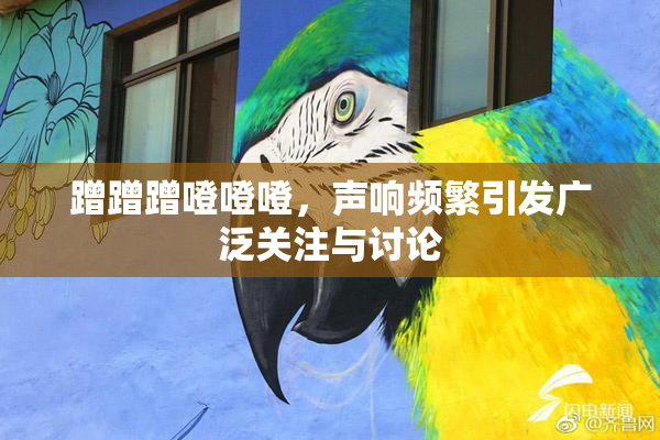 蹭蹭蹭噔噔噔，声响频繁引发广泛关注与讨论