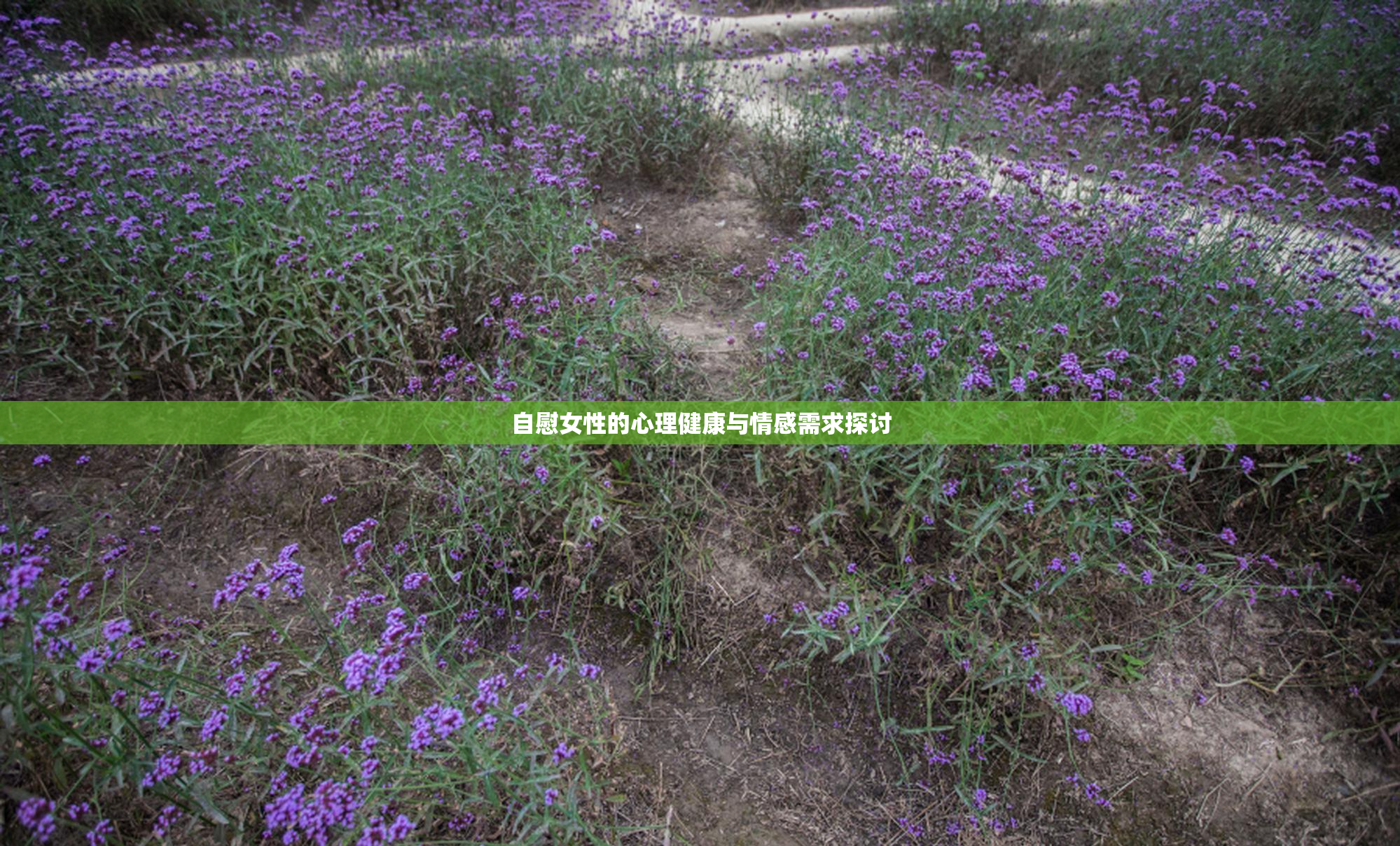自慰女性的心理健康与情感需求探讨