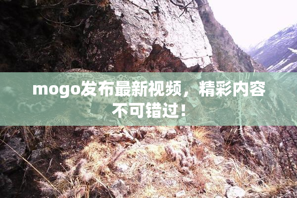 mogo发布最新视频，精彩内容不可错过！