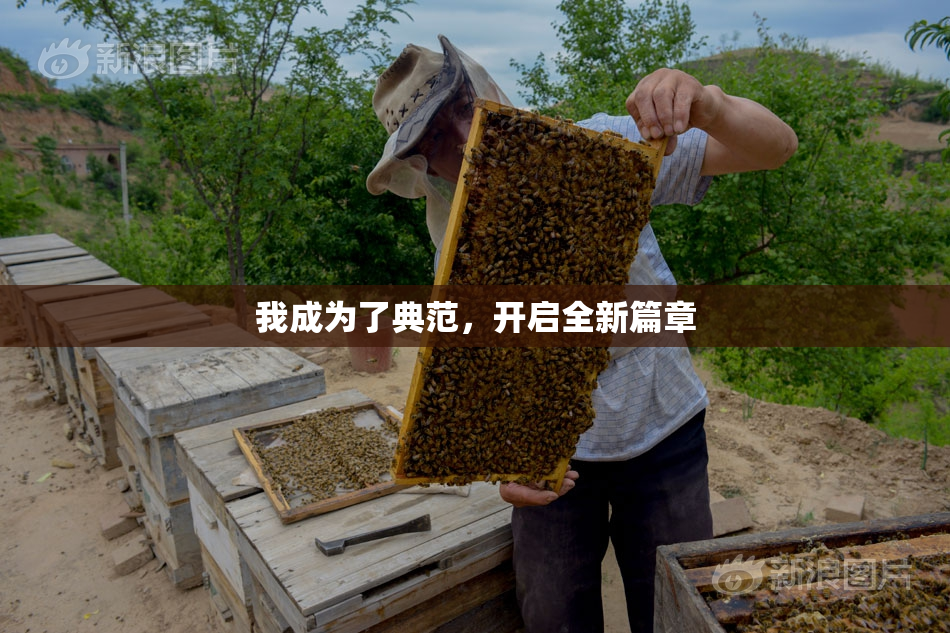 我成为了典范，开启全新篇章
