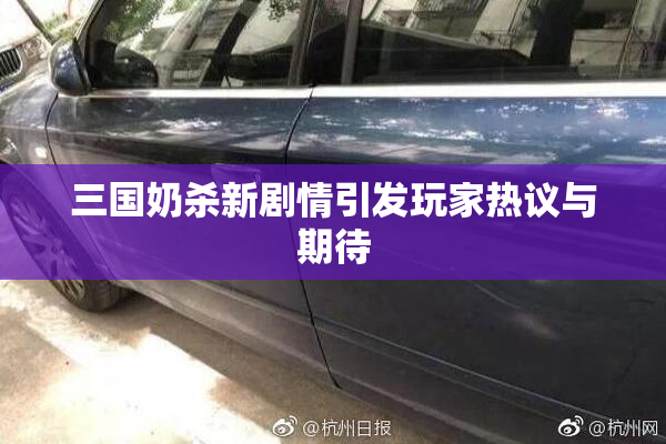 三国奶杀新剧情引发玩家热议与期待