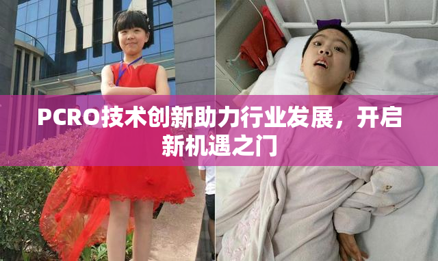 PCRO技术创新助力行业发展，开启新机遇之门