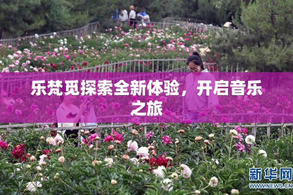乐梵觅探索全新体验，开启音乐之旅