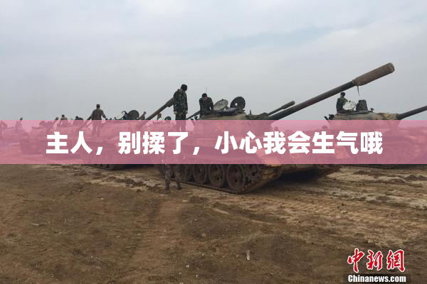 主人，别揉了，小心我会生气哦