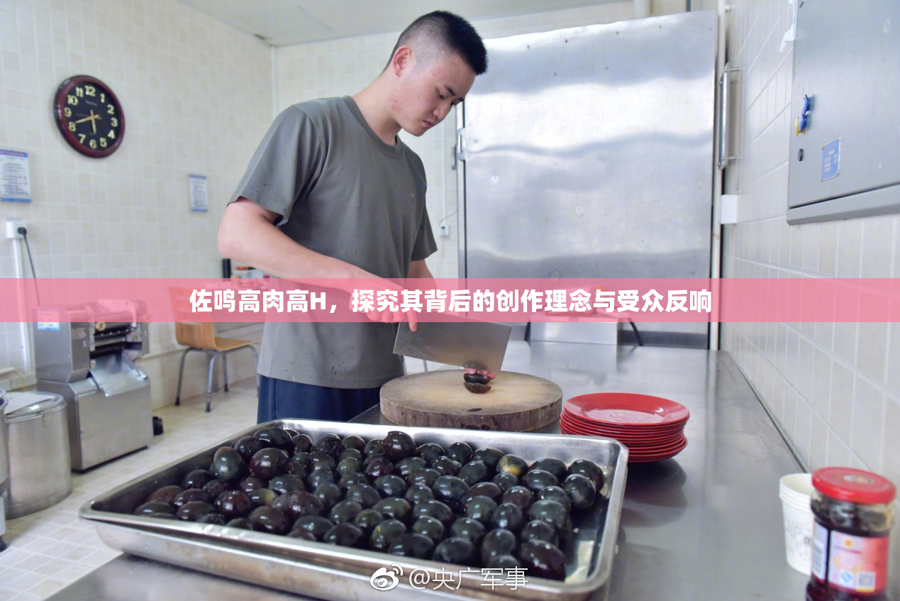 佐鸣高肉高H，探究其背后的创作理念与受众反响