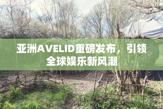 亚洲AVELID重磅发布，引领全球娱乐新风潮