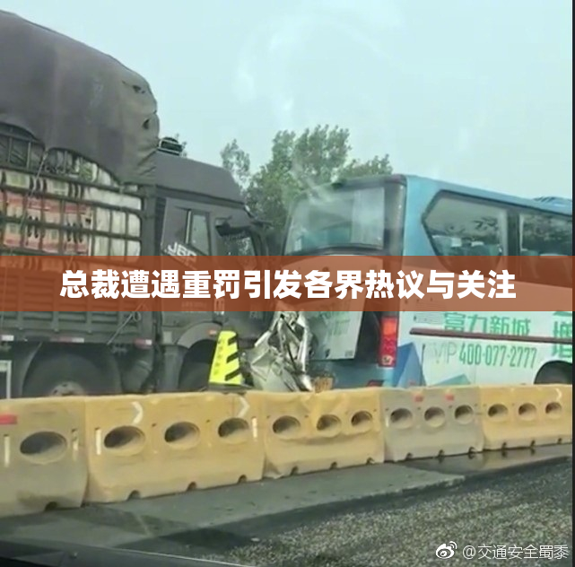 总裁遭遇重罚引发各界热议与关注