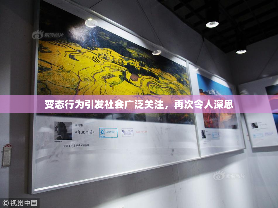 变态行为引发社会广泛关注，再次令人深思