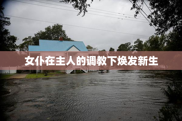 女仆在主人的调教下焕发新生
