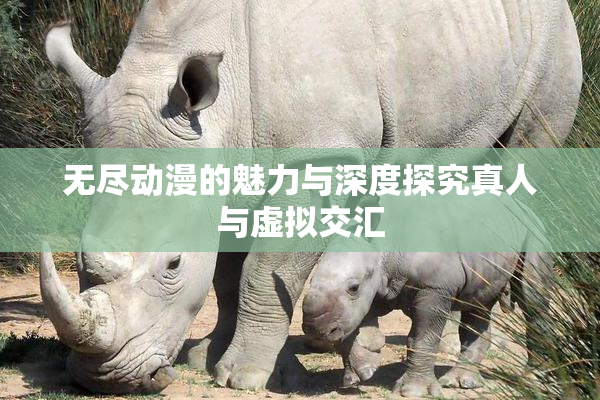无尽动漫的魅力与深度探究真人与虚拟交汇