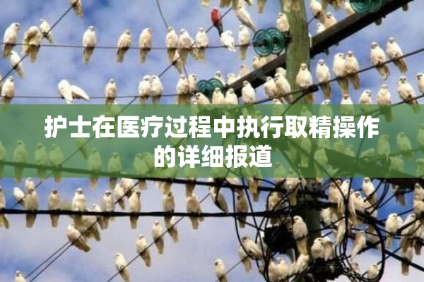 护士在医疗过程中执行取精操作的详细报道