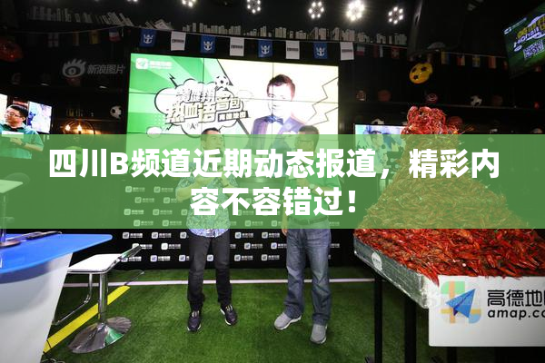 四川B频道近期动态报道，精彩内容不容错过！